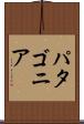 パタゴニア Scroll
