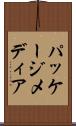 パッケージ・メディア Scroll