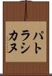 パトラシカヌ Scroll