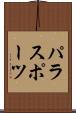 パラスポーツ Scroll