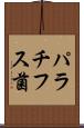 パラチフス菌 Scroll