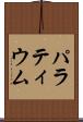 パラティウム Scroll