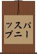 パースニップ Scroll