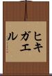 ヒキガエル Scroll