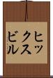 ヒックスビル Scroll