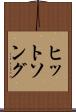 ヒットソング Scroll