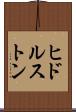 ヒドルストン Scroll