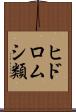 ヒドロムシ類 Scroll