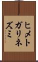 ヒメトガリネズミ Scroll