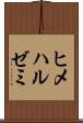 ヒメハルゼミ Scroll