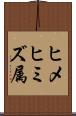 ヒメヒミズ属 Scroll