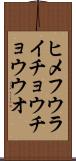 ヒメフウライチョウチョウウオ Scroll