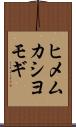 ヒメムカシヨモギ Scroll