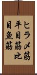 ヒラメ筋 Scroll