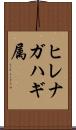 ヒレナガハギ属 Scroll