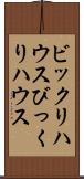 ビックリハウス Scroll