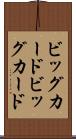 ビッグカード Scroll