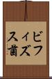 ビフィズス菌 Scroll