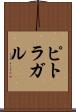 ピトラガル Scroll