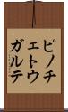 ピノチェトウガルテ Scroll