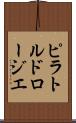 ピラトルドロージエ Scroll
