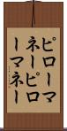 ピローマネー Scroll