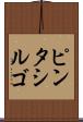 ピンタシルゴ Scroll
