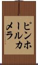 ピンホールカメラ Scroll
