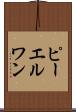 ピーエルワン Scroll