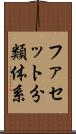 ファセット分類体系 Scroll