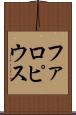 ファロピウス Scroll