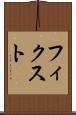 フィクスト Scroll