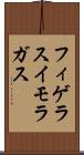 フィゲラスイモラガス Scroll