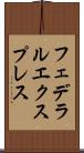 フェデラルエクスプレス Scroll