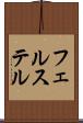 フェルステル Scroll