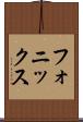フォニックス Scroll