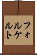 フォルケルト Scroll