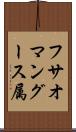 フサオマングース属 Scroll