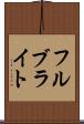 フルブライト Scroll