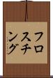 フロスチング Scroll