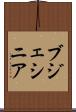 ブジェシニア Scroll