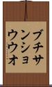 ブチサンショウウオ Scroll