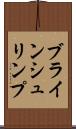 ブラインシュリンプ Scroll