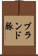 ブランド豚 Scroll