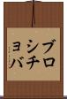 ブロシチョバ Scroll