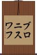 ブロニスワフ Scroll