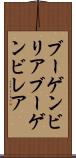 ブーゲンビリア Scroll