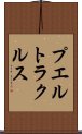 プエルトラクルス Scroll