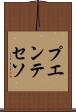 プエンテセソ Scroll