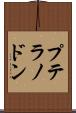 プテラノドン Scroll